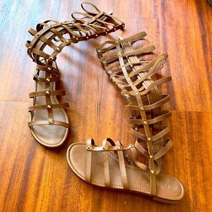 Tall studded gladiator sandals